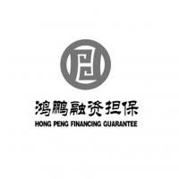 河池市鴻鵬融資性擔保有限責任公司 助力企業(yè)與經(jīng)濟發(fā)展的融資橋梁